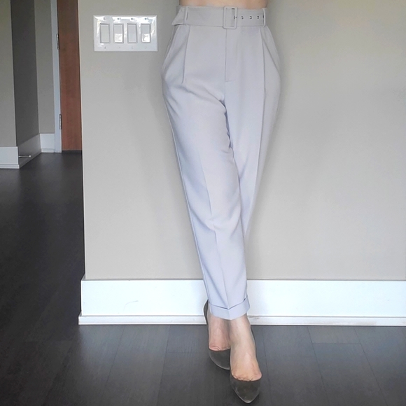 ๐ HOST PICK ๐ Sandra Angelozzi Ankle Pants - Picture 5 of 12